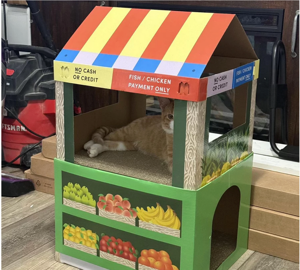FRUIT HOUSE STAND CAT SCRATCHER