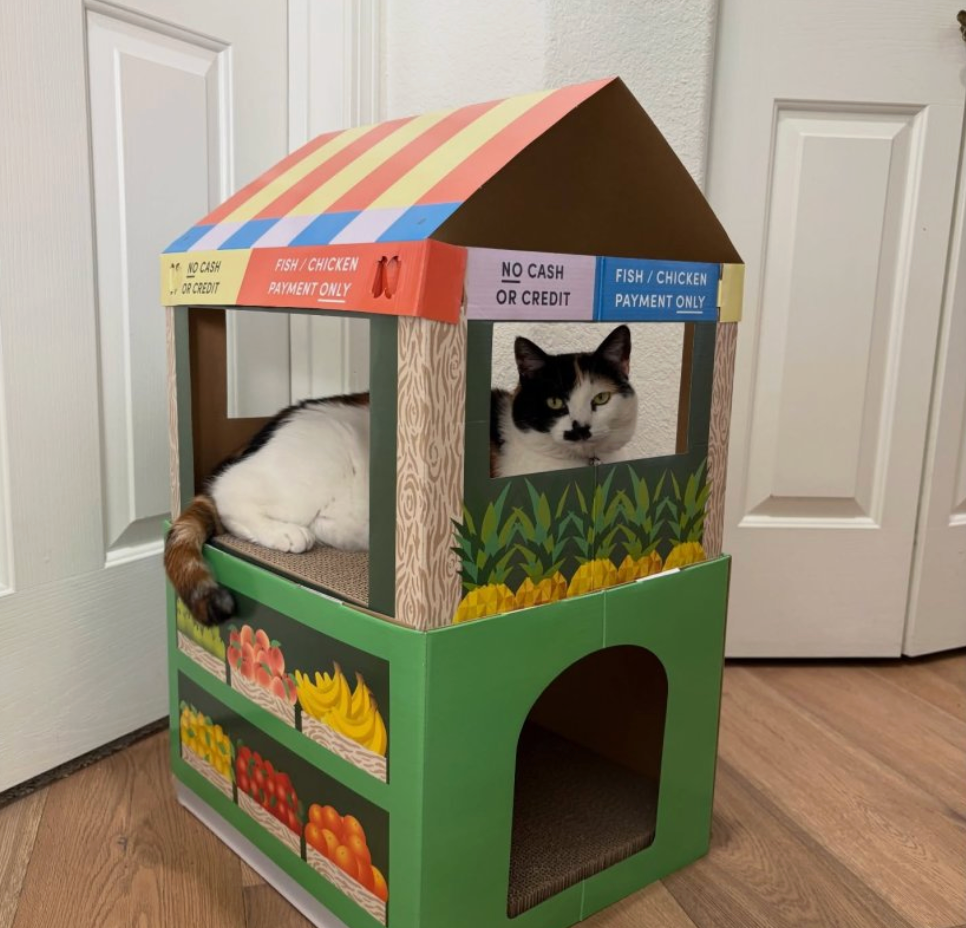 FRUIT HOUSE STAND CAT SCRATCHER