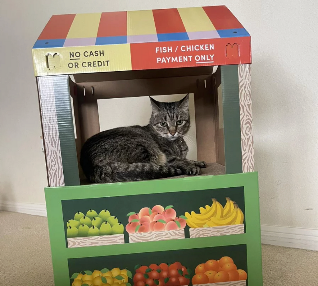 FRUIT HOUSE STAND CAT SCRATCHER