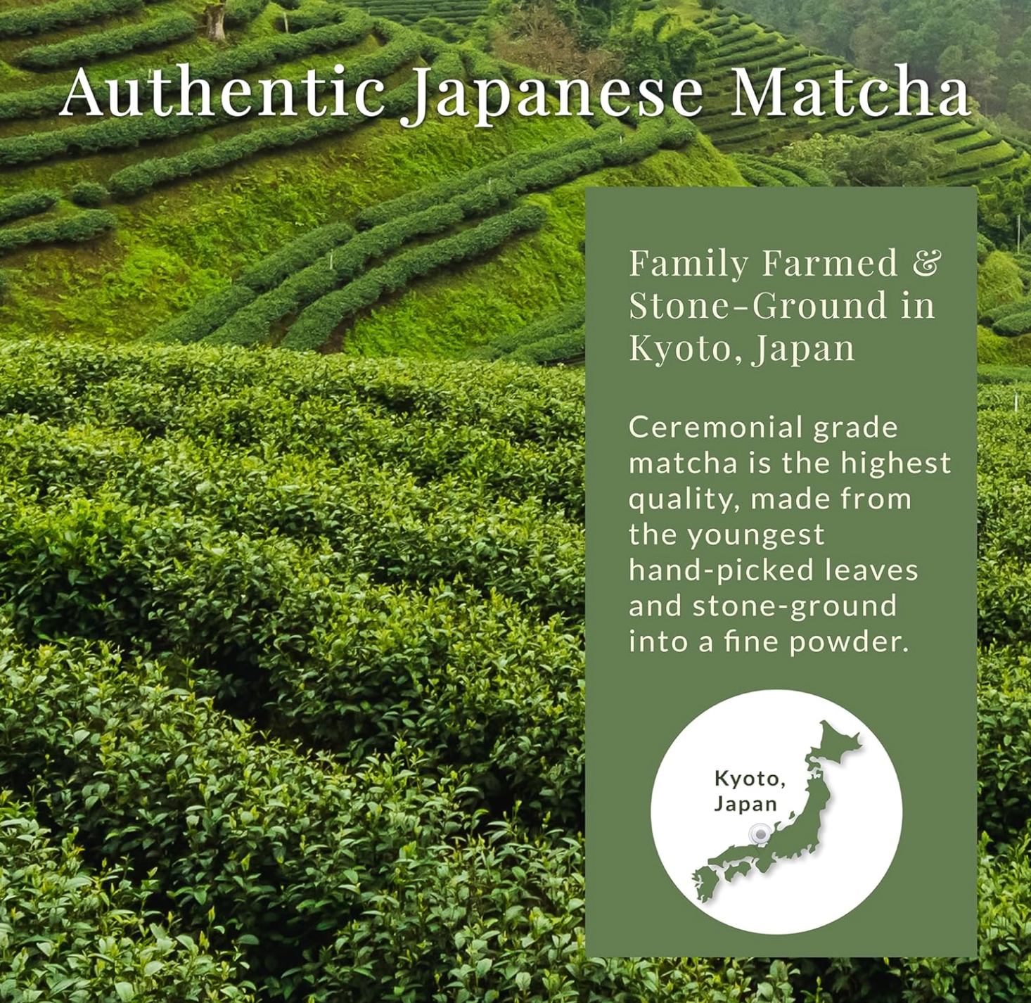 JAPON: MATCHA SUNDAY GRADO CEREMONIAL