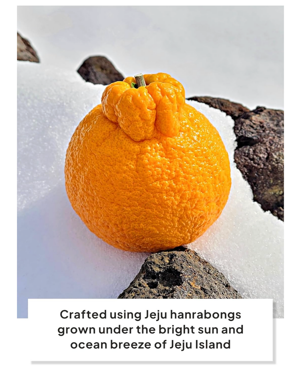 COREA: JEKISS  GALLETAS DE HALLABONG DE LA ISLA JEJU