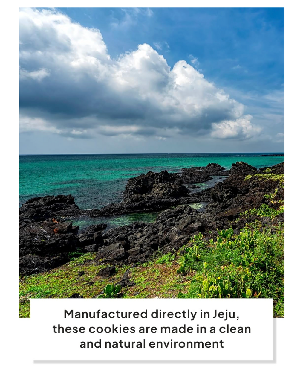 COREA: JEKISS  GALLETAS DE HALLABONG DE LA ISLA JEJU