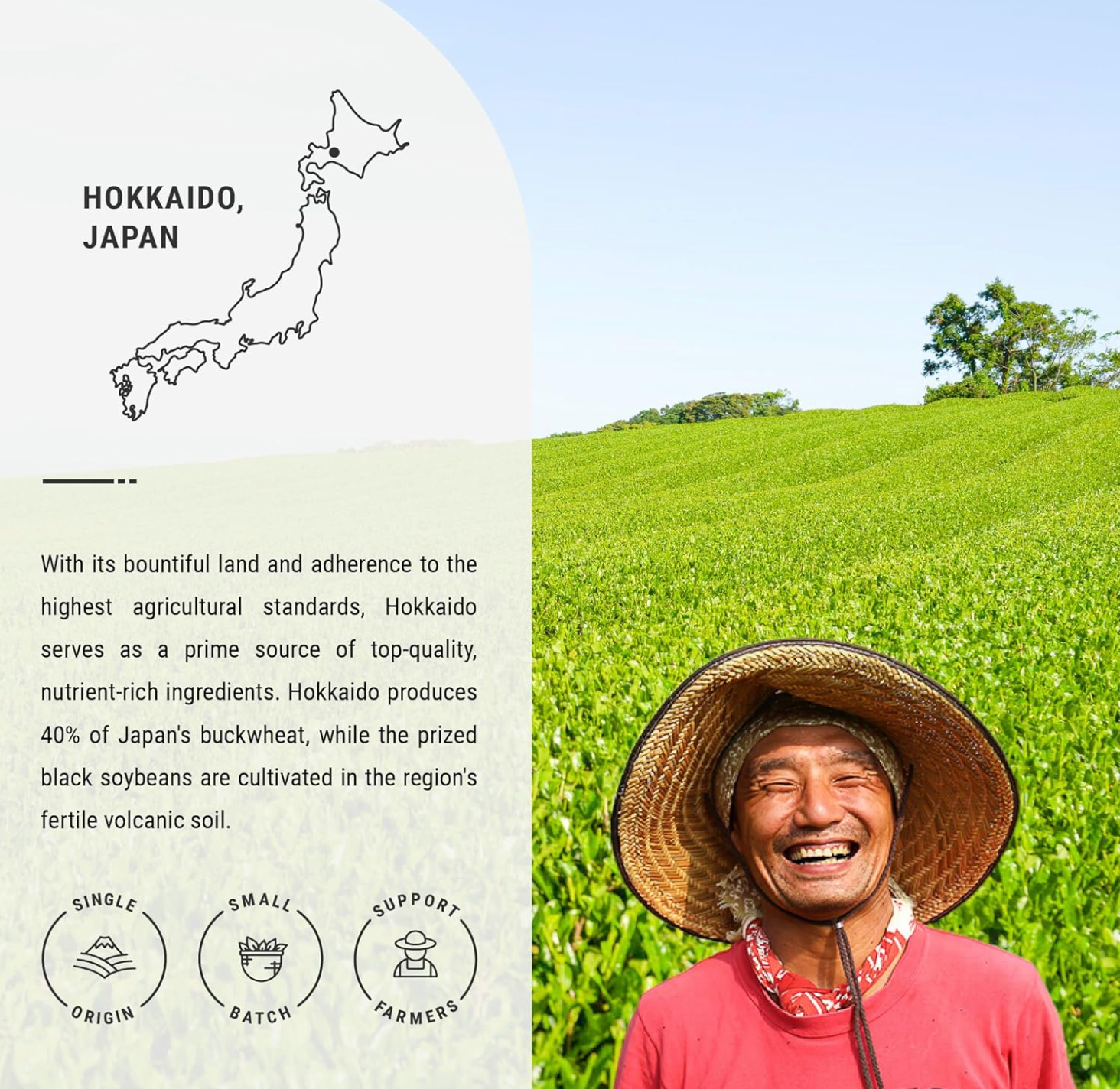JAPON: SENBIRD GENMAICHA ROASTED BROWN RICE TEA PREMIUM