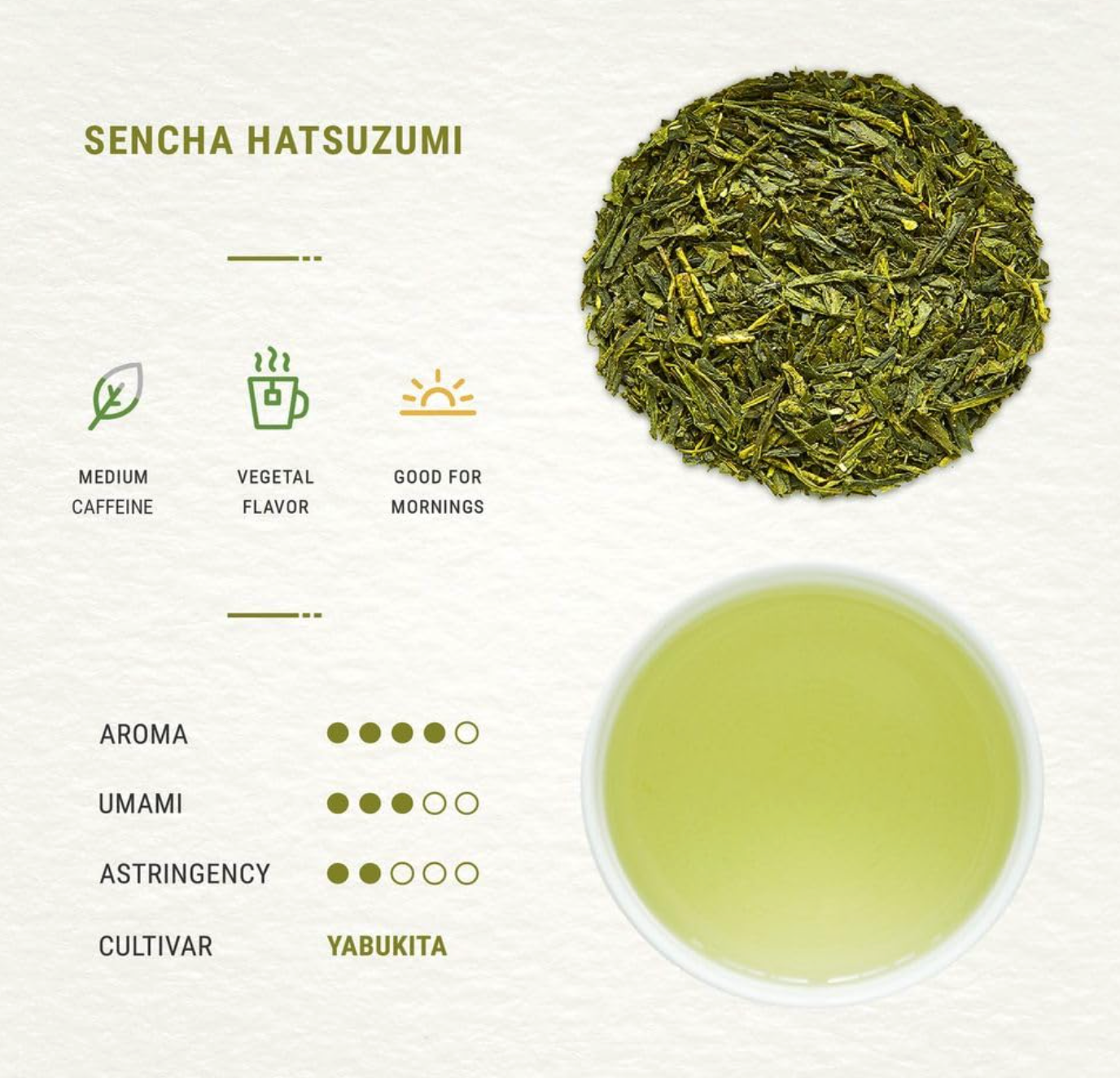 JAPON: SENBIRD SENCHA PREMIUM