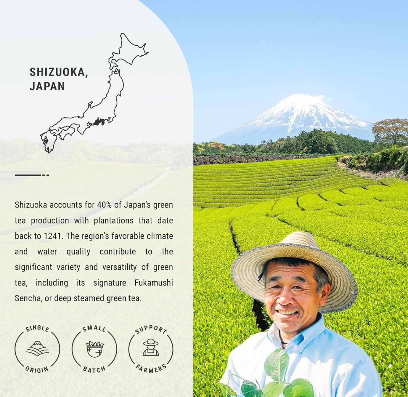 JAPON: SENBIRD SENCHA PREMIUM