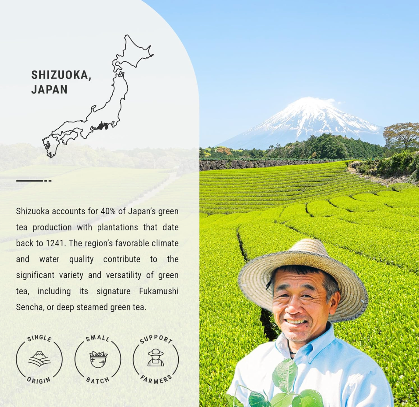 JAPON: SENBIRD WAKOUCHA BLACK TEA PREMIUM